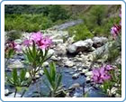 Parque de Madonie